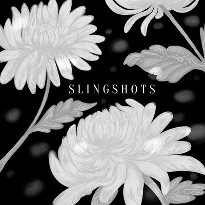 シングル/Slingshots/Coming Up Roses