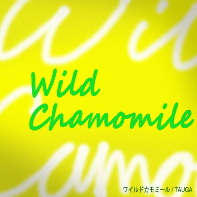 Wild Chamomile/TAUGA