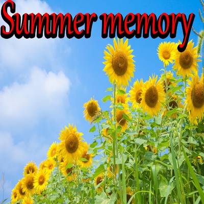 シングル/Summer memory/shin