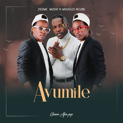Avumile (feat. Mduduzi Ncube)/2Some Musik