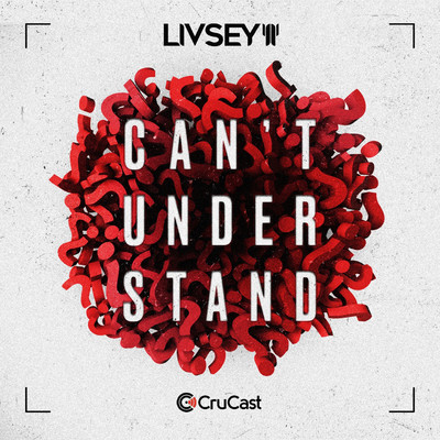 シングル/Can't Understand/Livsey