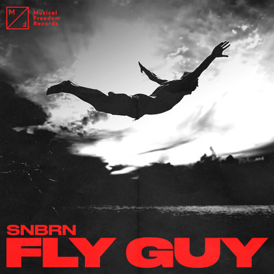 シングル/Fly Guy/SNBRN