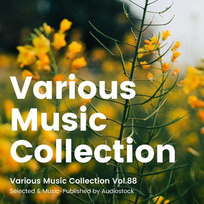 アルバム/Various Music Collection Vol.88 -Selected & Music-Published by Audiostock-/Various Artists