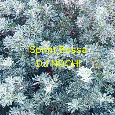 シングル/Sprint Bossa/DJ NOCHI