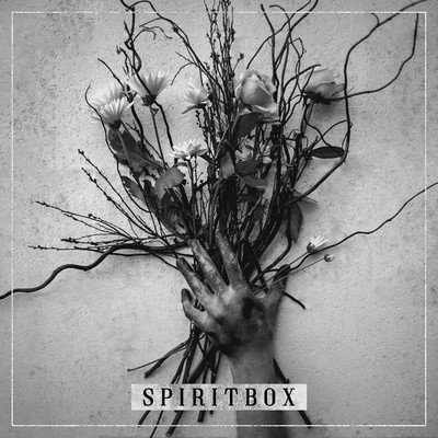 アルバム/Spiritbox/Spiritbox