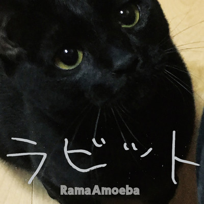 Rama Amoeba