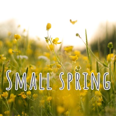 アルバム/Small spring/2strings