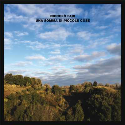 アルバム/Una Somma Di Piccole Cose/Niccolo Fabi
