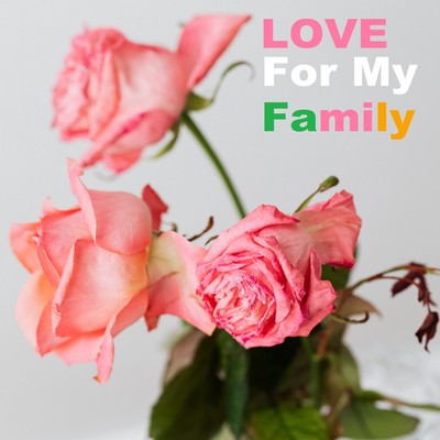 シングル/Love For My Family/Danto