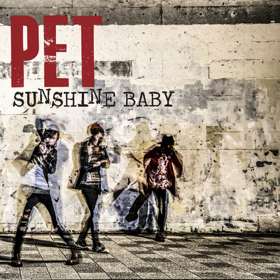 アルバム/SUNSHINE BABY/PET