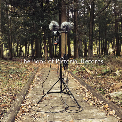 アルバム/The Book of Pictorial Records/munero