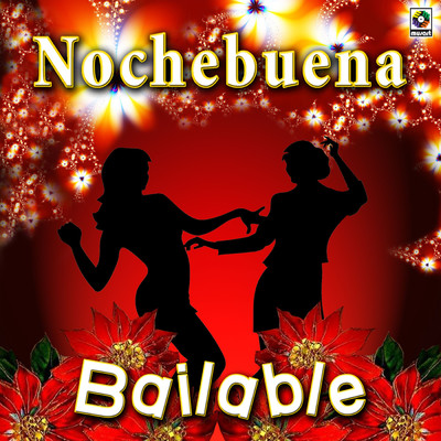 Nochebuena Bailable/Various Artists