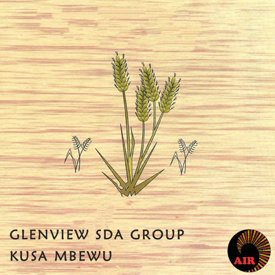 Huya Nemoyo/Glen View SDA Group
