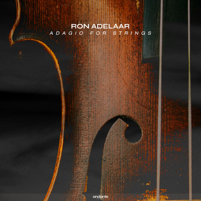 アルバム/Adagio For Strings/Ron Adelaar