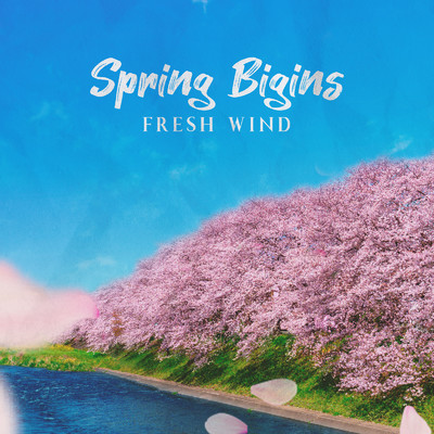 アルバム/SPRING BEGINS -FRESH WIND-/magicbox, The Illuminati & #musicbank