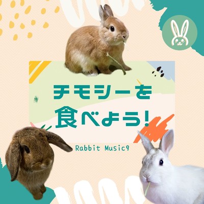 Rabbit Music9 -うさぎ音楽life-