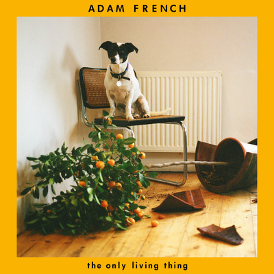 The Only Living Thing/Adam French