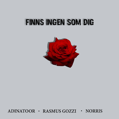 Rasmus Gozzi／Adinatoor／Norris
