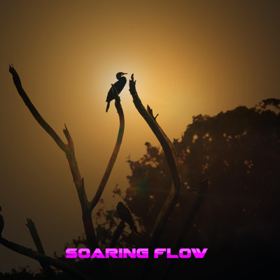 Soaring Flow/Upbeat Tucan