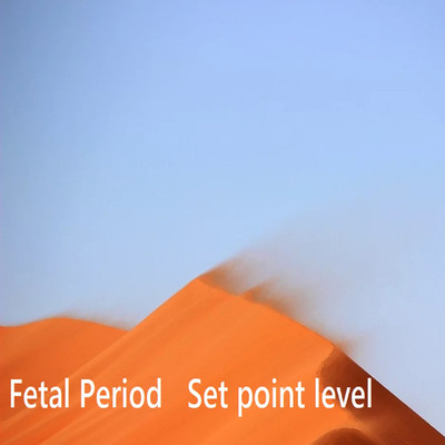 アルバム/Fetal Period/Set point level