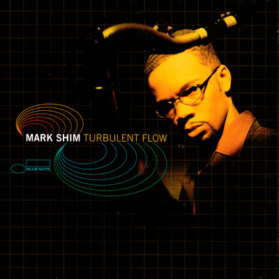 Turbulent Flow/Mark Shim