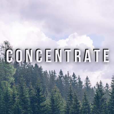 Concentrate/Relax α Wave