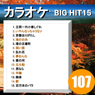 アルバム/カラオケ BIG HIT 15 107/CTA カラオケ