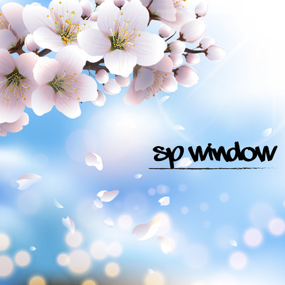 SP window/DJ NEKO.a.k.a.2cats