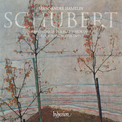 Schubert: 4 Impromptus, Op. 142, D. 935: No. 1 in F Minor. Allegro moderato/マルク=アンドレ・アムラン