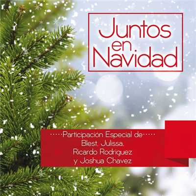 シングル/Nino Del Tambor／Venid Fieles Todos (Medley)/Ricardo Rodriguez