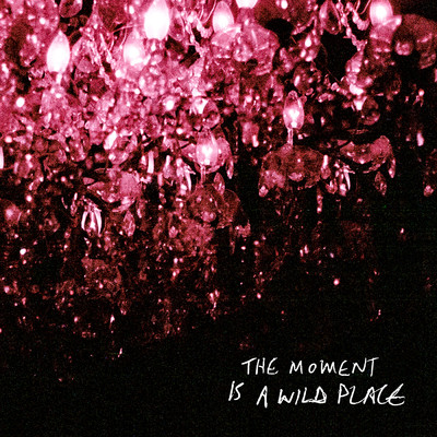 アルバム/The Moment Is A Wild Place (Explicit)/Gord Downie／Bob Rock