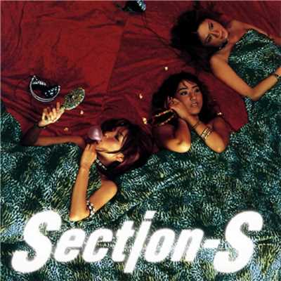 WWW./Section-S