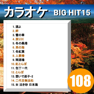 アルバム/カラオケ BIG HIT 15 108/CTA カラオケ