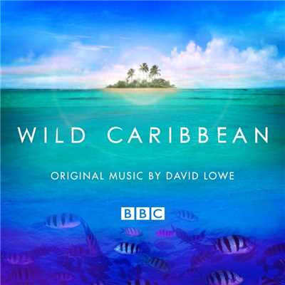 Wild Caribbean - Original Music By David Lowe/David Lowe
