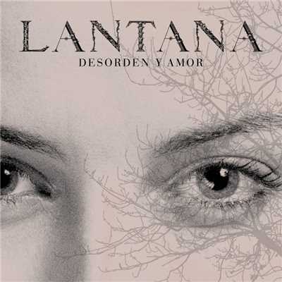 アルバム/Desorden y Amor/Lantana
