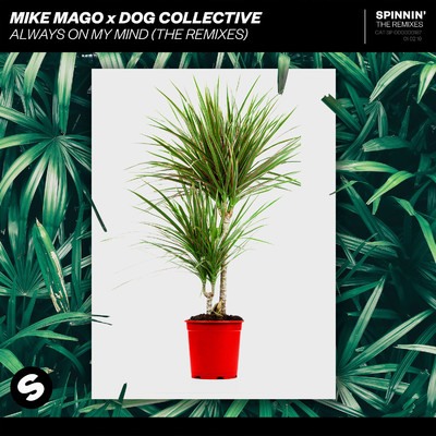 シングル/Always On My Mind (Nihil Young Extended Remix)/Mike Mago x Dog Collective