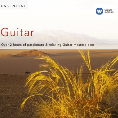 アルバム/Essential Guitar/Various Artists