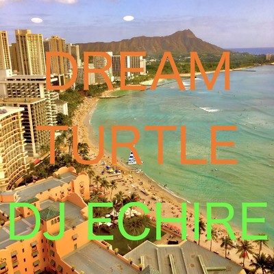 シングル/DREAM TURTLE/DJ ECHIRE