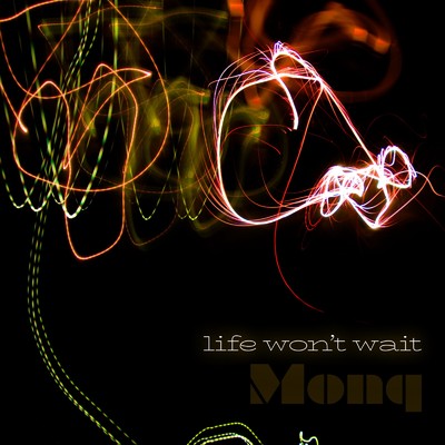life won't wait/Monq