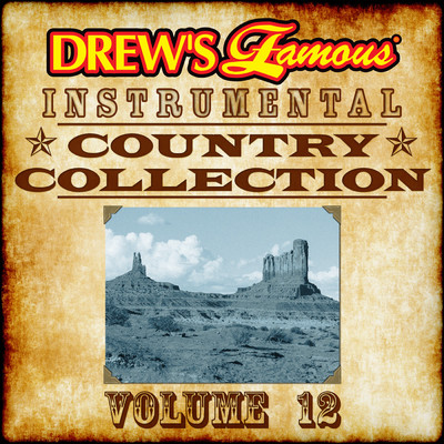 Drew's Famous Instrumental Country Collection, Vol. 12/The Hit Crew