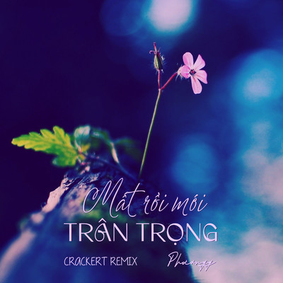 シングル/Mat Roi Moi Tran Trong (CrackerT Remix)/Phuongg