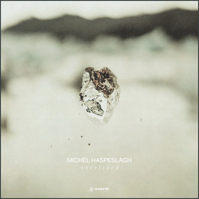 Unrefined/Michel Haspeslagh