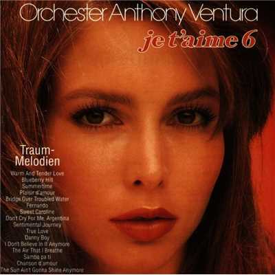 Je T'Aime - Traummelodien 6/Orchester Anthony Ventura