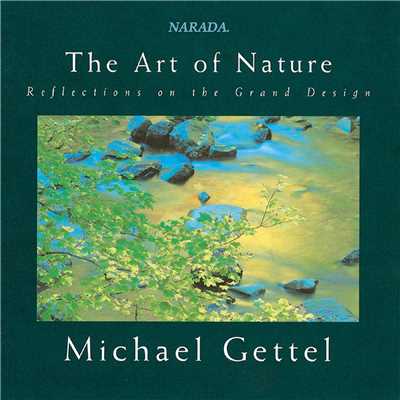 アルバム/The Art Of Nature/Michael Gettel