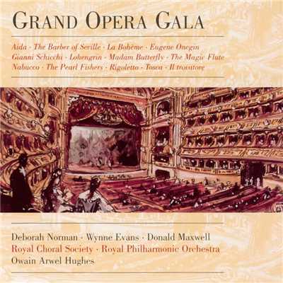 Grand Opera Gala/Owain Arwel Hughes