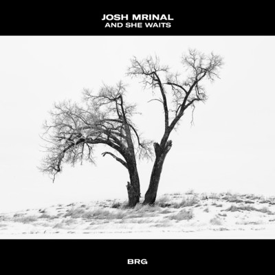 And She Waits/Josh Mrinal