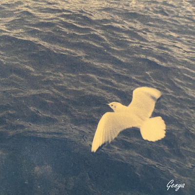 シングル/White bird/Genya