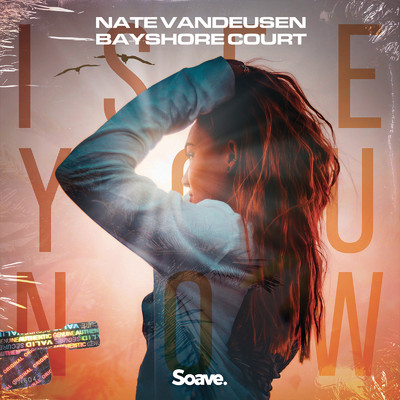シングル/I See You Now/Nate VanDeusen & Bayshore Court