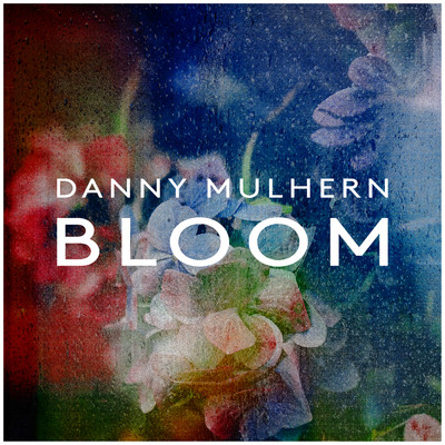 Bloom/Danny Mulhern