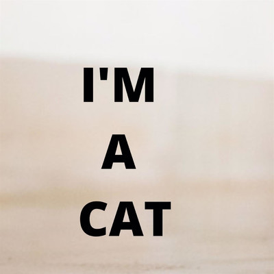 I'm a Cat/NotARat